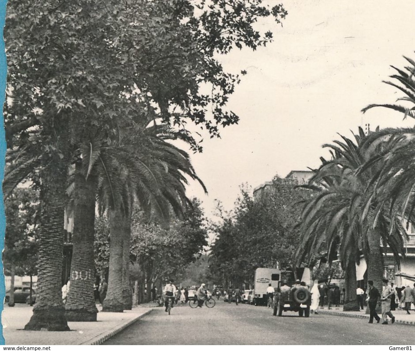 SIDI-BEL-ABBES Le Boulevard De La République Jeep Hotchkiss Photo Véritable Circulé 1960 - Sidi-bel-Abbès