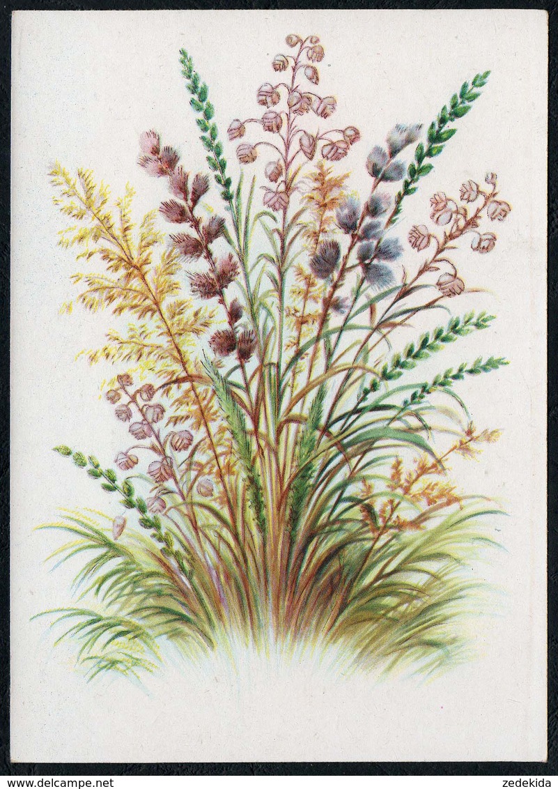 C4606 - Stöckel Verlag Ansichtskarte - Blumen - Stöckelbildkarte Hannover - Blumen