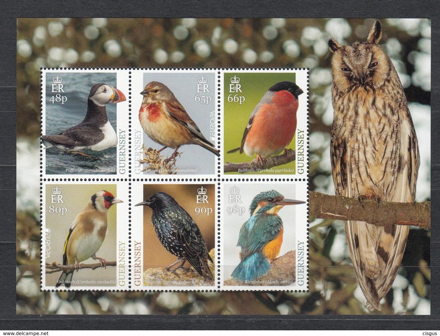 Guernsey MNH** 2019 Sheet Of 6  Bird Vogel M - Sonstige & Ohne Zuordnung