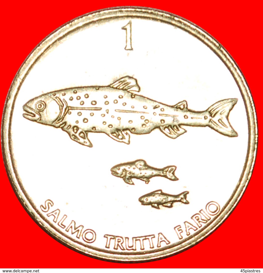 + FISH: SLOVENIA ★ 1 TOLAR 1998 MINT LUSTER! LOW START ★ NO RESERVE! - Slowenien