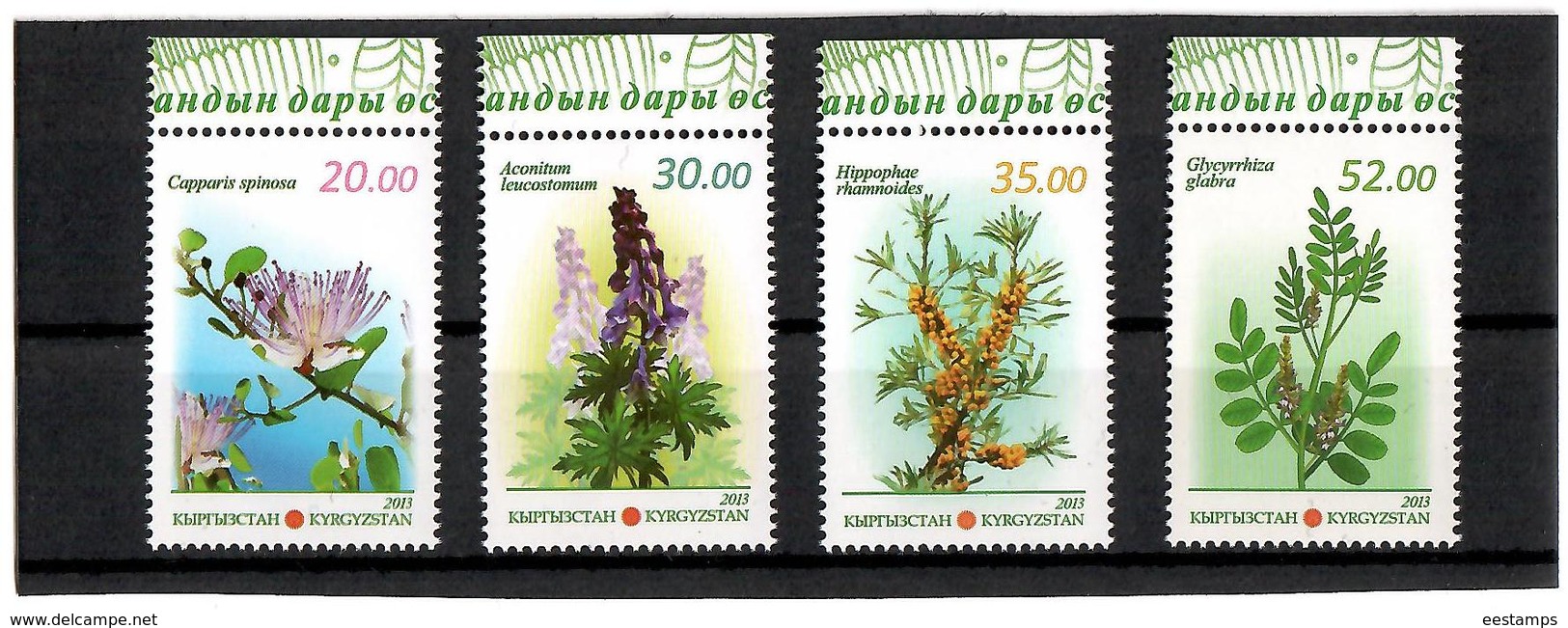 Kyrgyzstan.2013 Medicinal Plants. 4v: 20,30,35,52 Michel # 765-68 - Kirghizistan