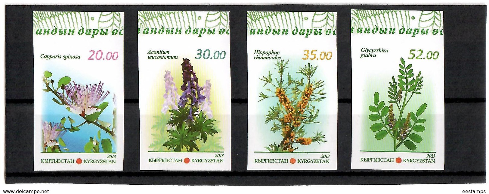 Kyrgyzstan.2013 Medicinal Plants. Imperf 4v: 20,30,35,52  Michel # 765-68 B - Kirgisistan