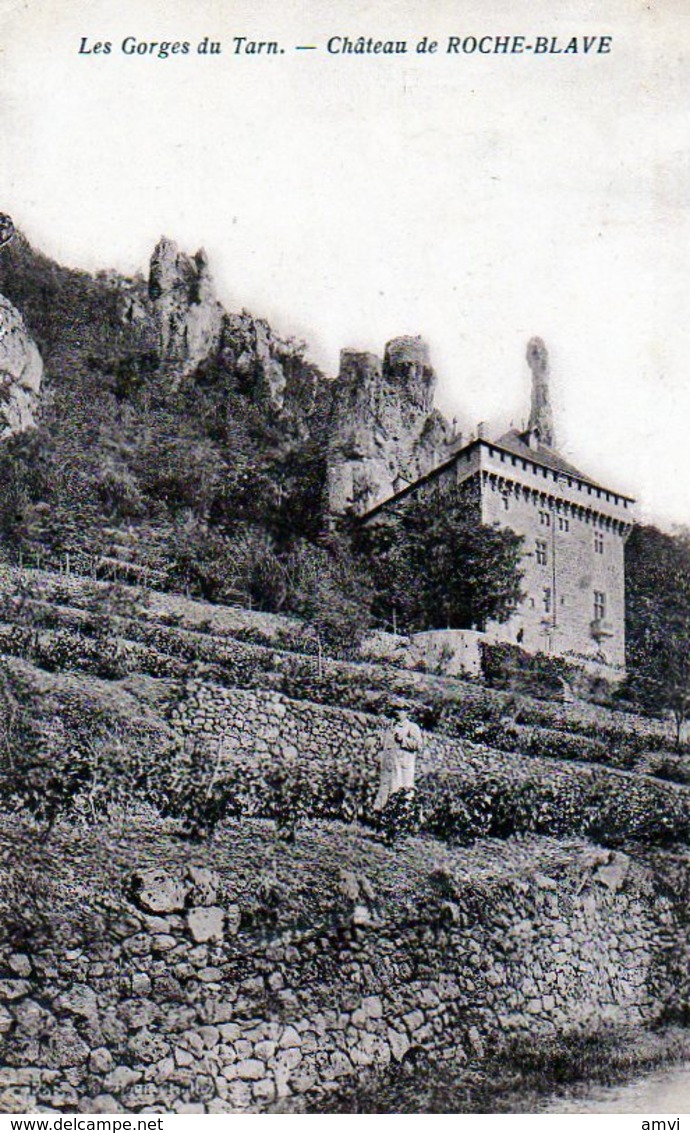 3899 - 48 Gorge Du Tarn - Vigne Château De Roche Blaye  ( Carte Pliée ) - Other & Unclassified