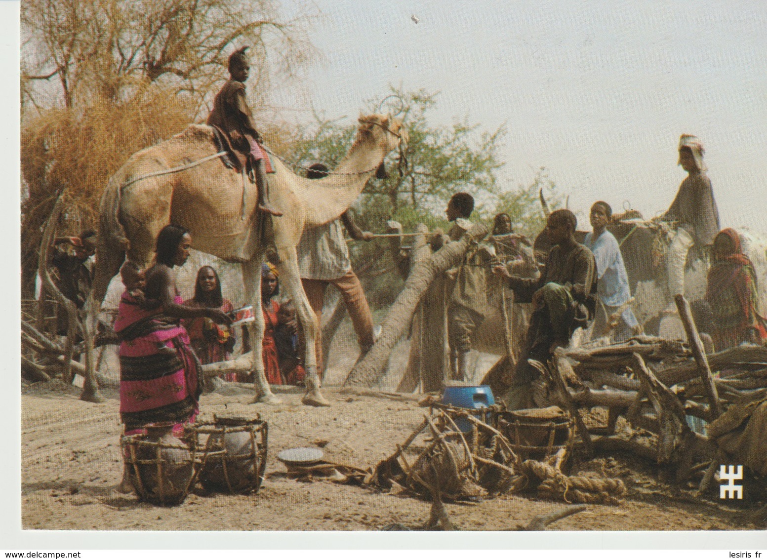 C.P. - PHOTO - RÉPUBLIQUE DU TCHAD - PRÉFECTURE DU CHARI BAGUIRMI - SUR LA ROUTE DE TOURBA - INTENSES ACTIVITÉS AUTOUR - Tchad