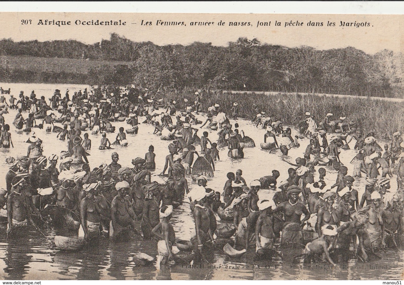 SENEGAL  Les Femmes, Armées De Nasses, Font La Pêche Dans Les Marigots - Senegal