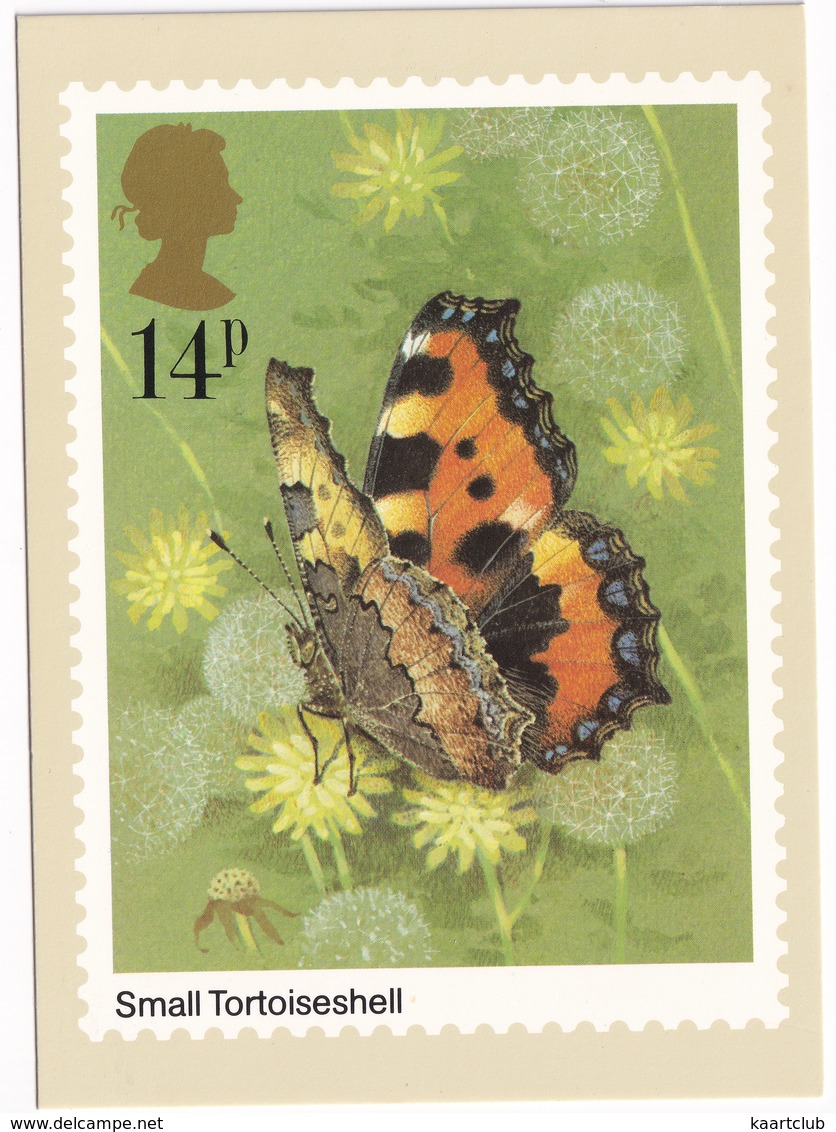 Butterflies: SMALL TORTOISESHELL  - Vlinder / Butterfly / Schmetterling / Papillon - (United Kingdom)  - 14P - Schmetterlinge