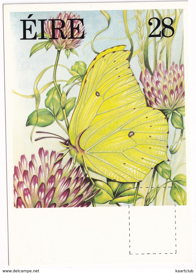 Fauna And Flora Series: BRIMSTONE  - Vlinder / Butterfly / Schmetterling / Papillon - (Eire - Ireland)  - 28P - Vlinders