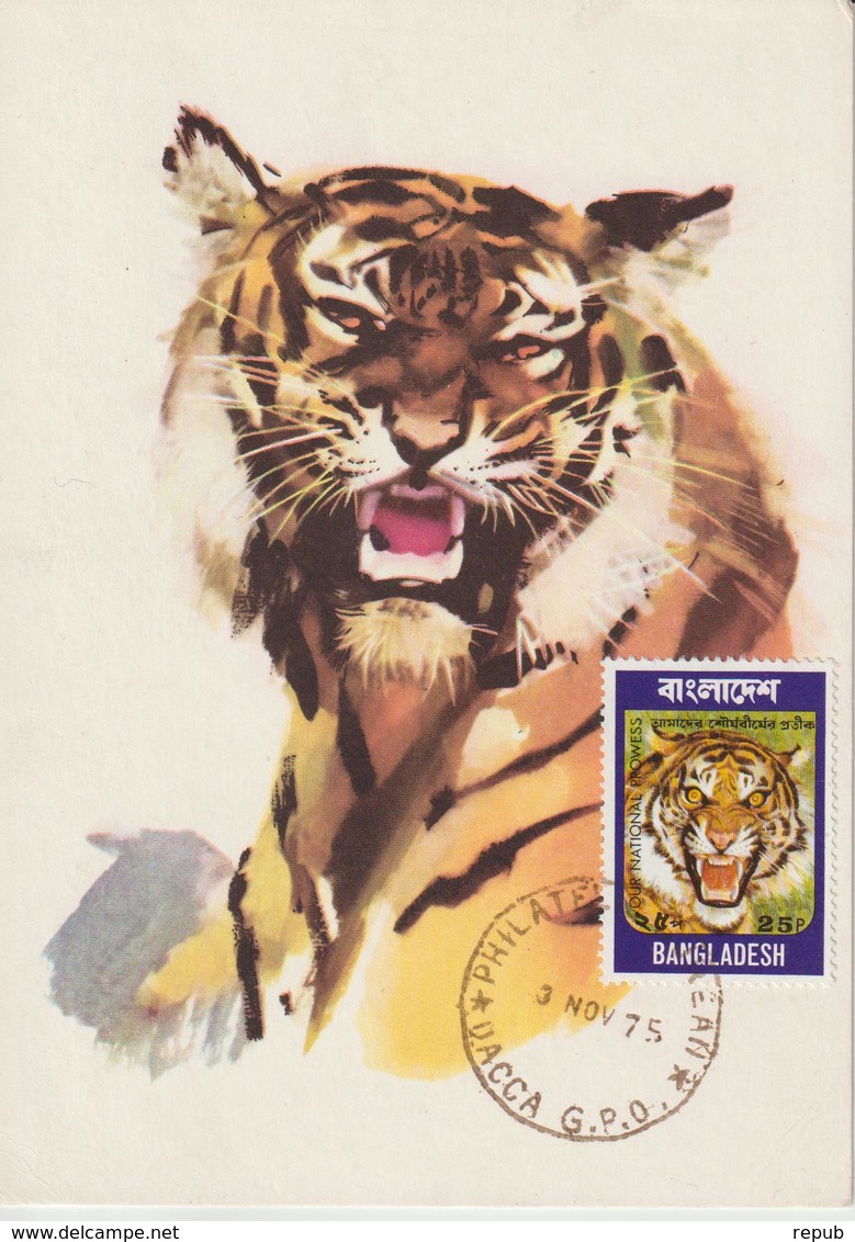 Bangladesh Carte Maximum 1974 Tigre 56 - Bangladesh