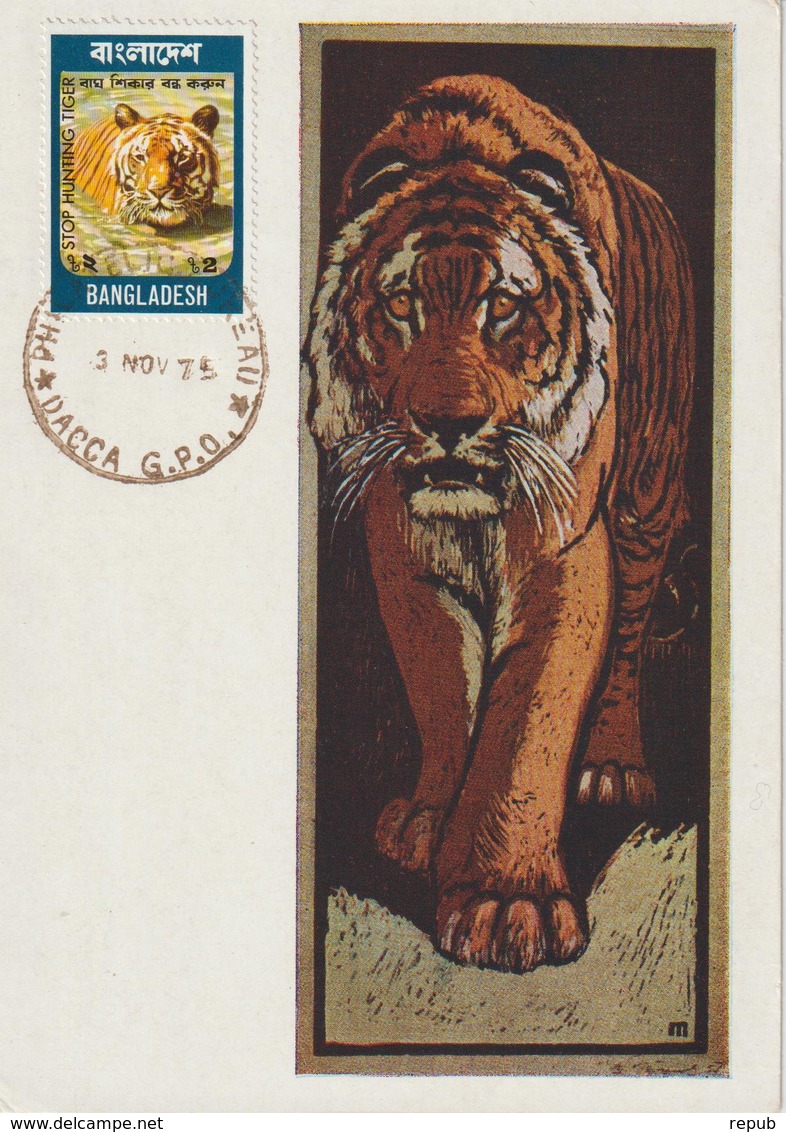 Bangladesh Carte Maximum 1974 Tigre 58 - Bangladesh