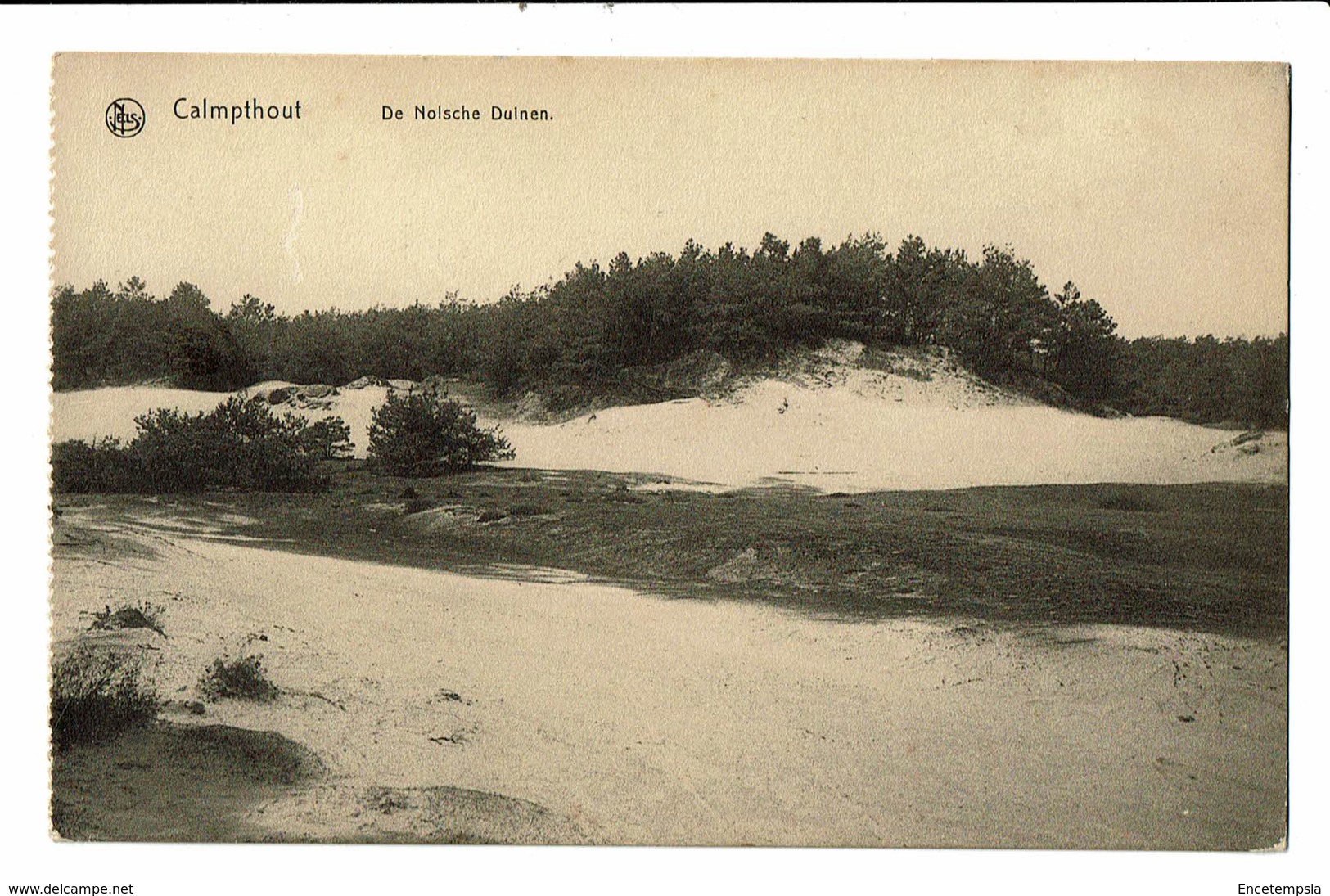 CPA - Carte Postale -Belgique- Kalmhout - De Nolsche Duinen-VM2339 - Kalmthout