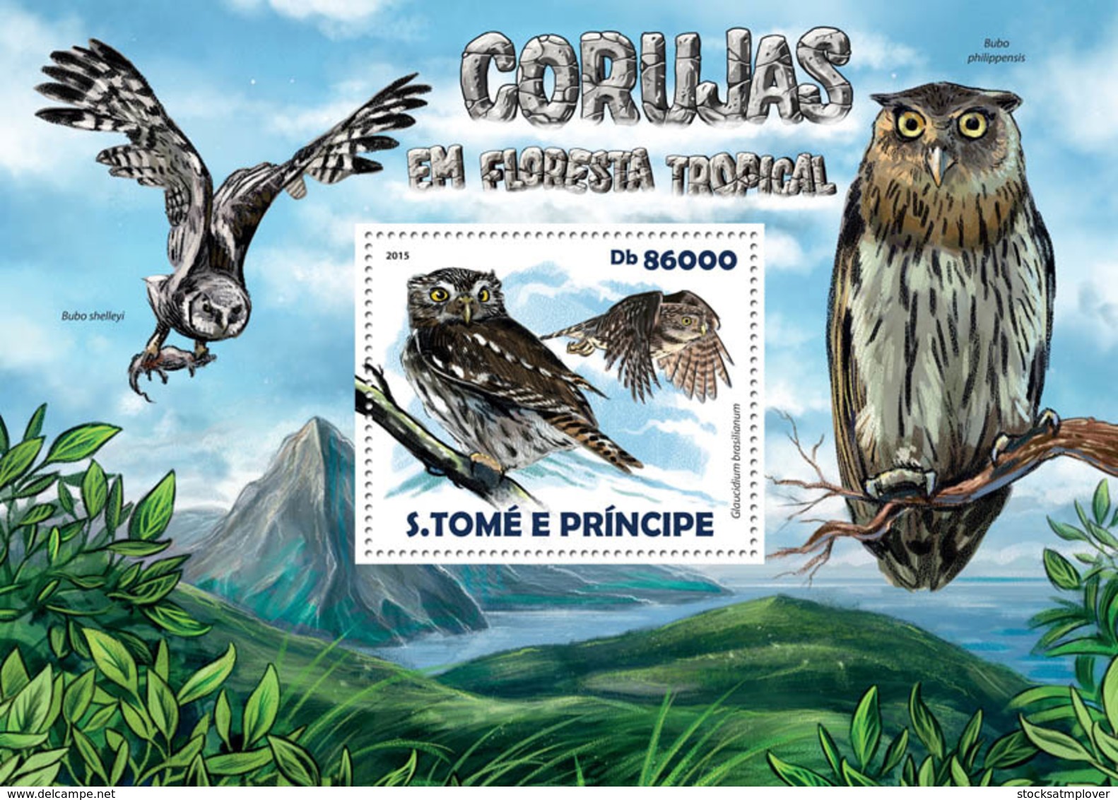 Sao Tome 2015 Fauna  Rainforest Owls - Sao Tome And Principe