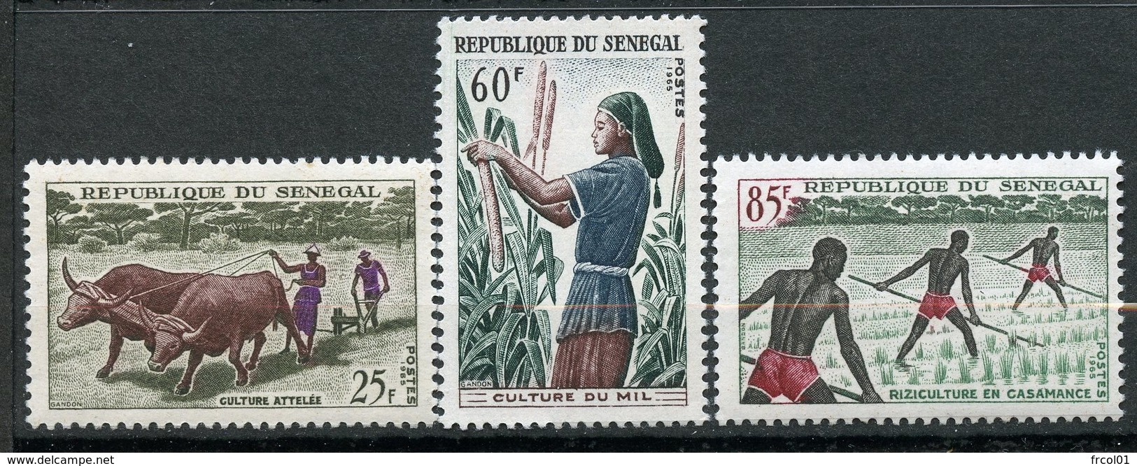 Senegal, Yvert 255/257, Scott 250/252, MNH - Sénégal (1960-...)