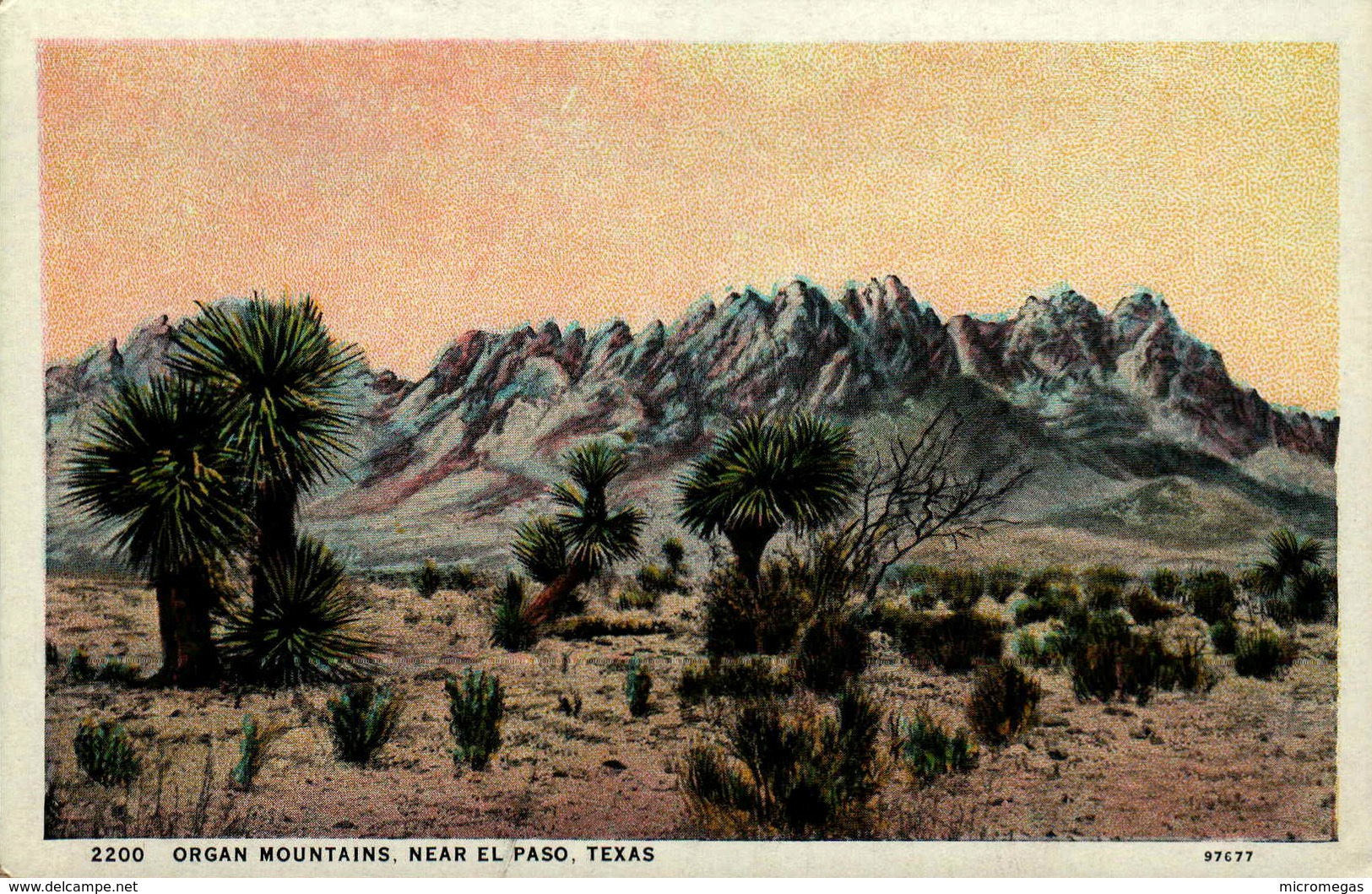 Organ Mountains, Near El Paso, Texas - El Paso