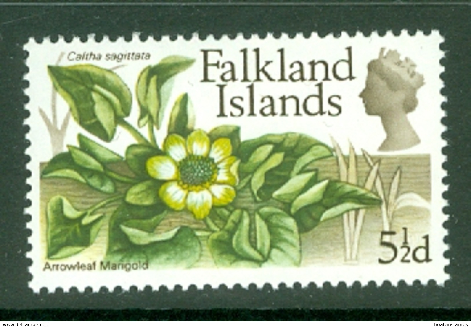 Falkland Is: 1968   QE II - Flowers   SG238    5½d       MH - Falkland Islands