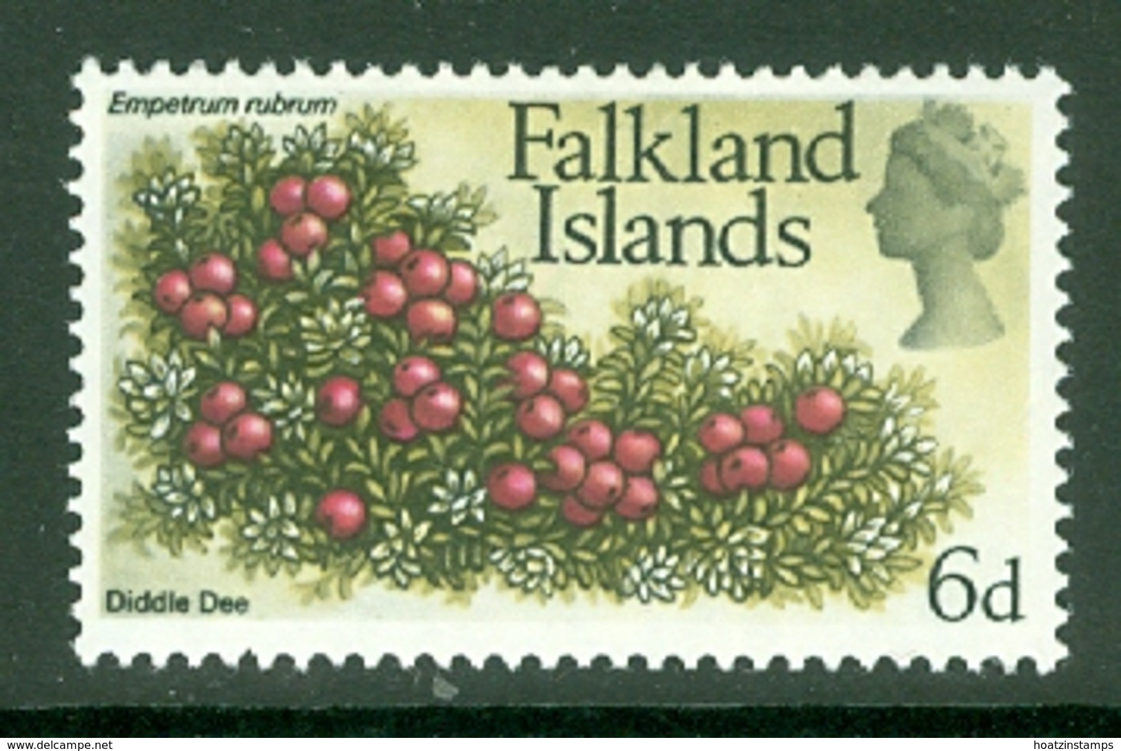 Falkland Is: 1968   QE II - Flowers   SG239    6d       MH - Falkland Islands