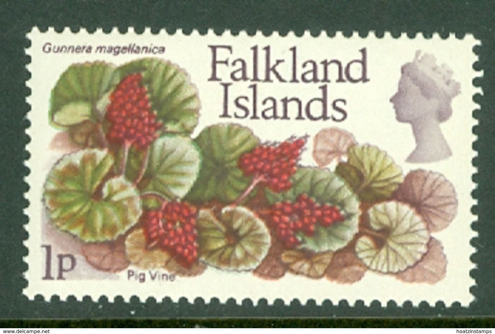 Falkland Is: 1972   QE II - Flowers - Decimal Currency  SG277    1p    MH - Falkland Islands