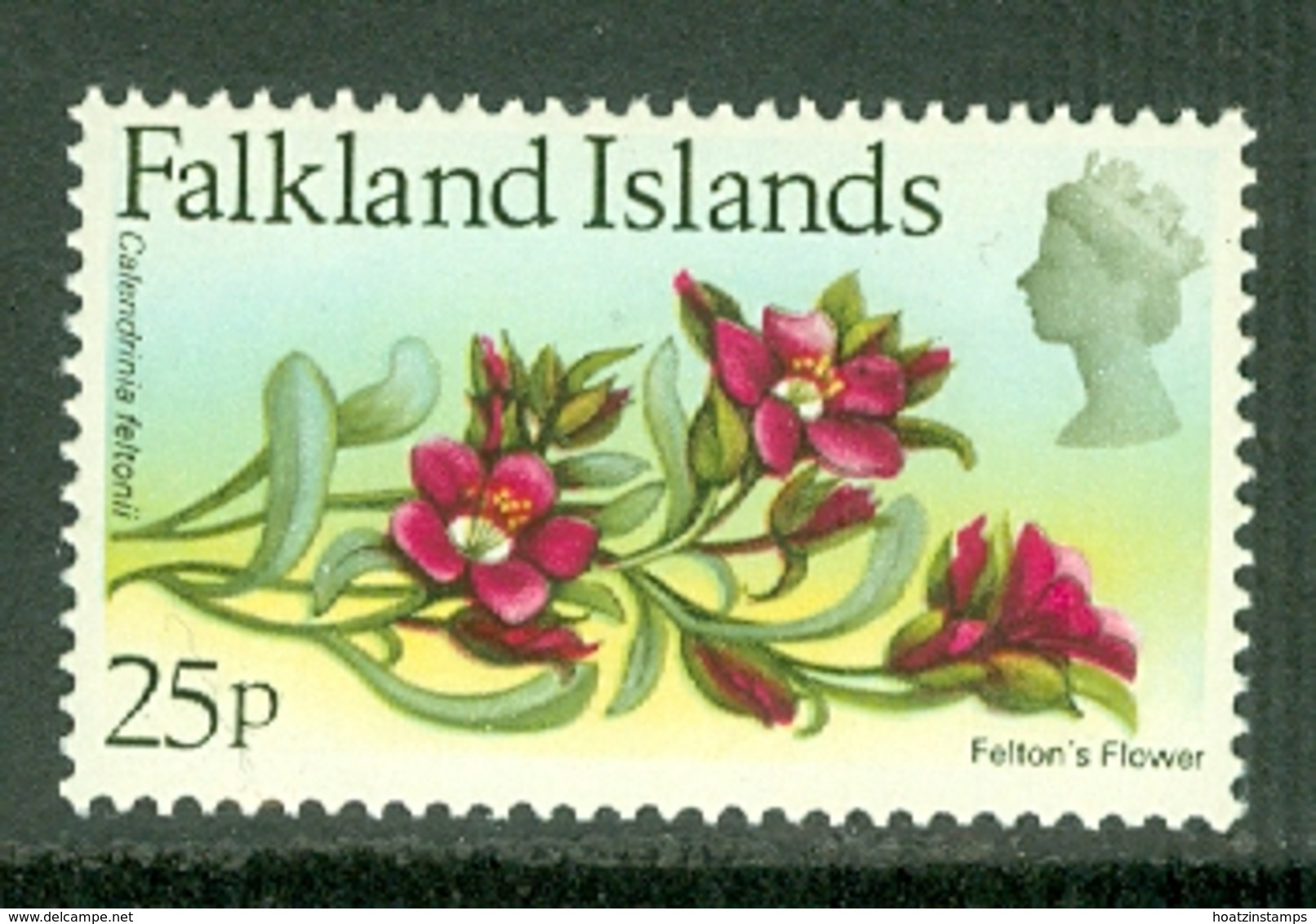 Falkland Is: 1972   QE II - Flowers - Decimal Currency  SG288    25p    MH - Falkland Islands