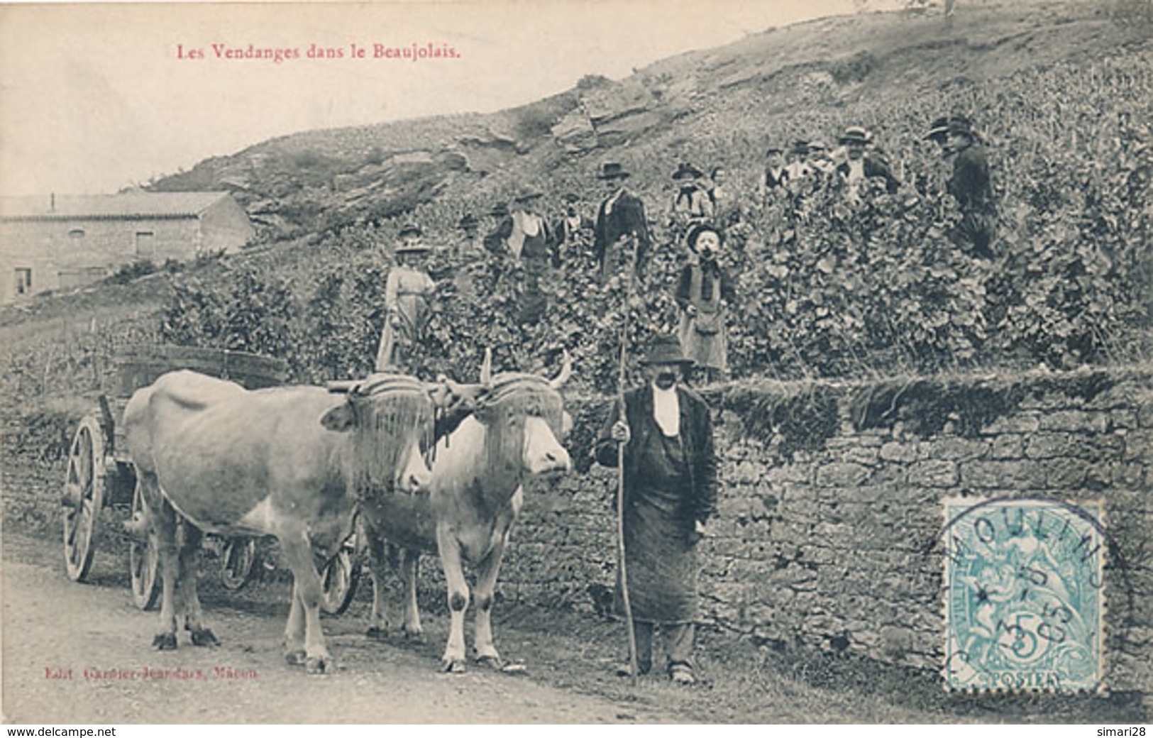 LES VENDANGES DANS LE BEAUJOLAIS - Otros & Sin Clasificación