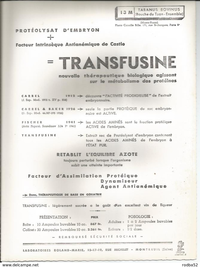 Grande Photo -Tabanus Bovinus Bouche Du Taon - Insecte- Pub Transfusine - Science Laboratoire Médecine  Faune - Other & Unclassified