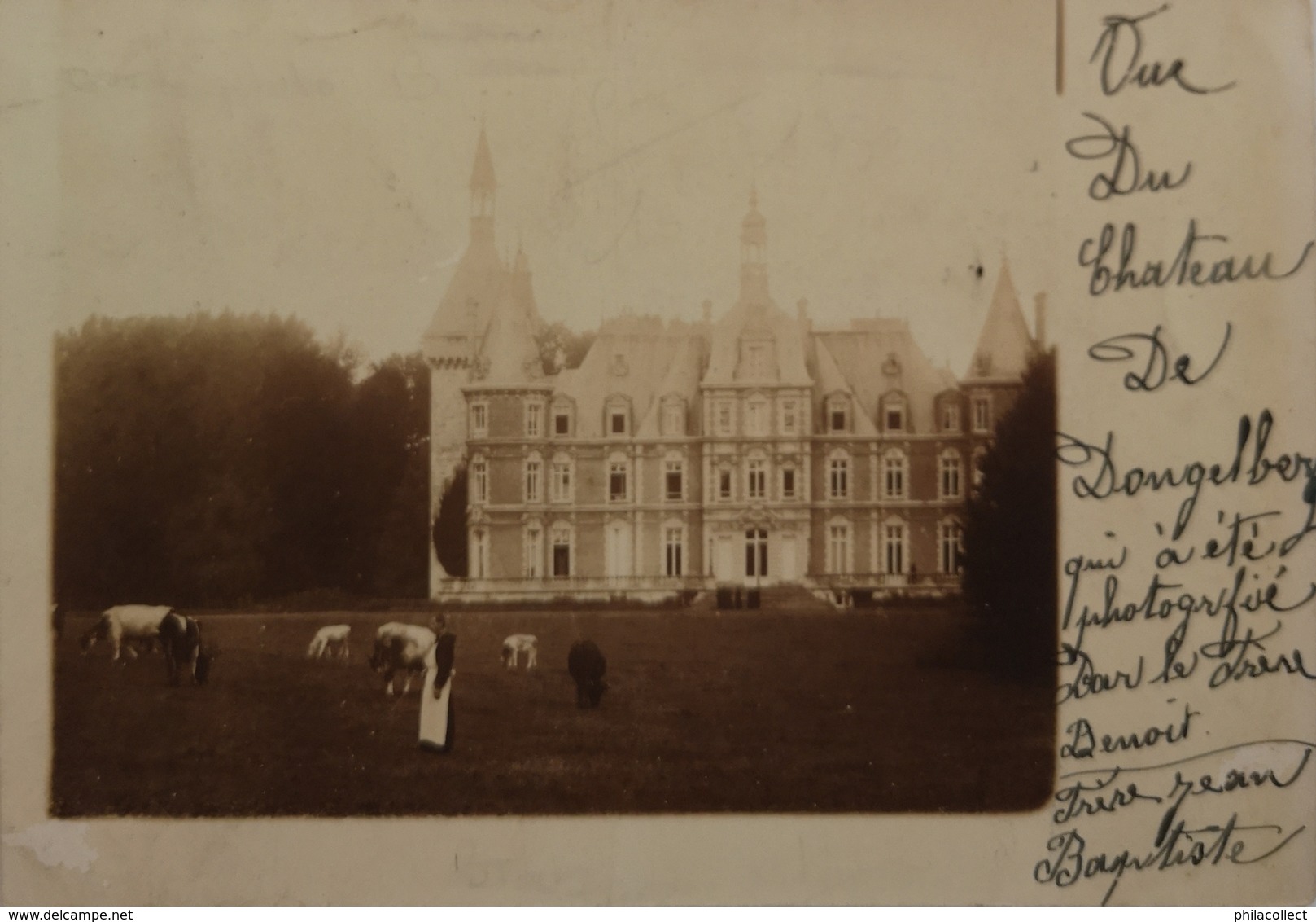 Dongelberg // FOTOKAART - Carte Photo // Chateau De Dongelberg (animee) 1912 - Geldenaken