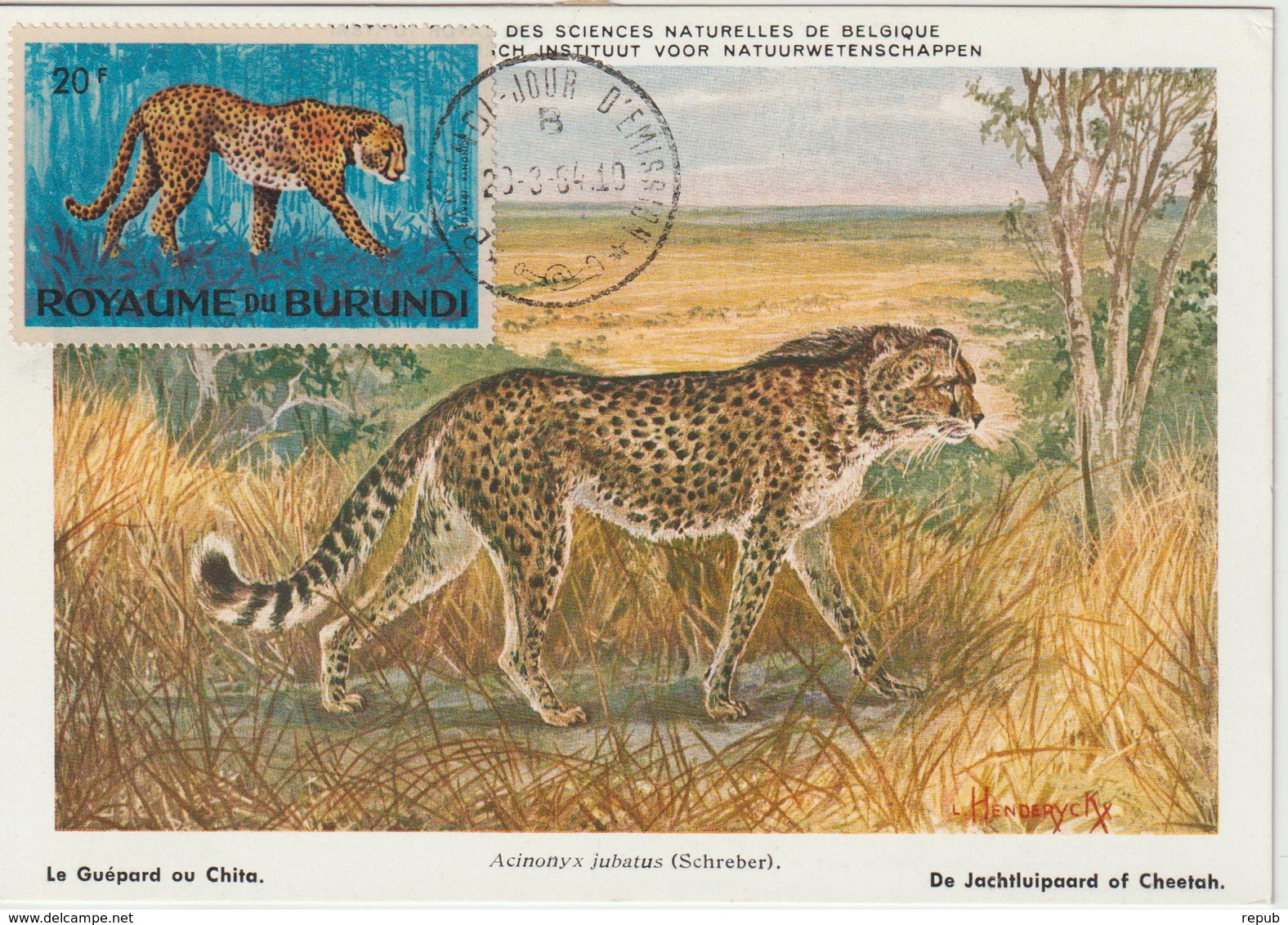 Burundi Carte Maximum Animaux 1964 Guépard 92 - Autres & Non Classés