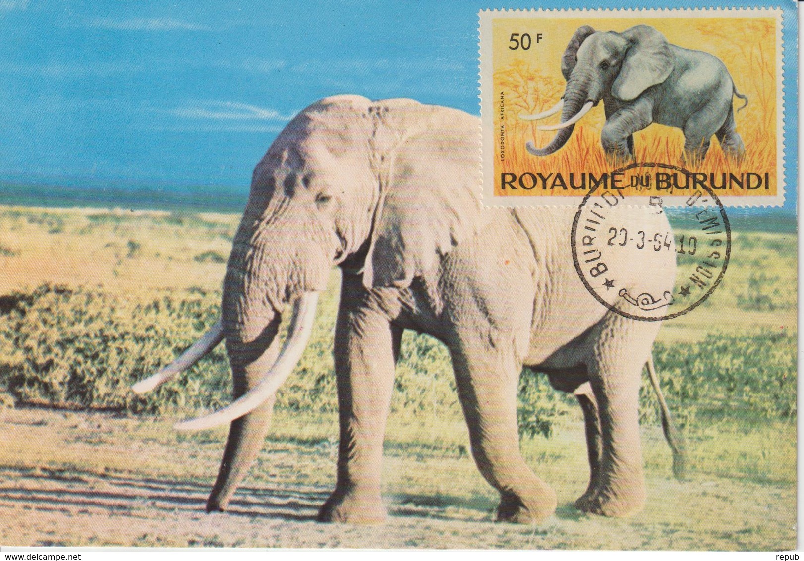 Burundi Carte Maximum Animaux 1964 Eléphant 93 - Autres & Non Classés