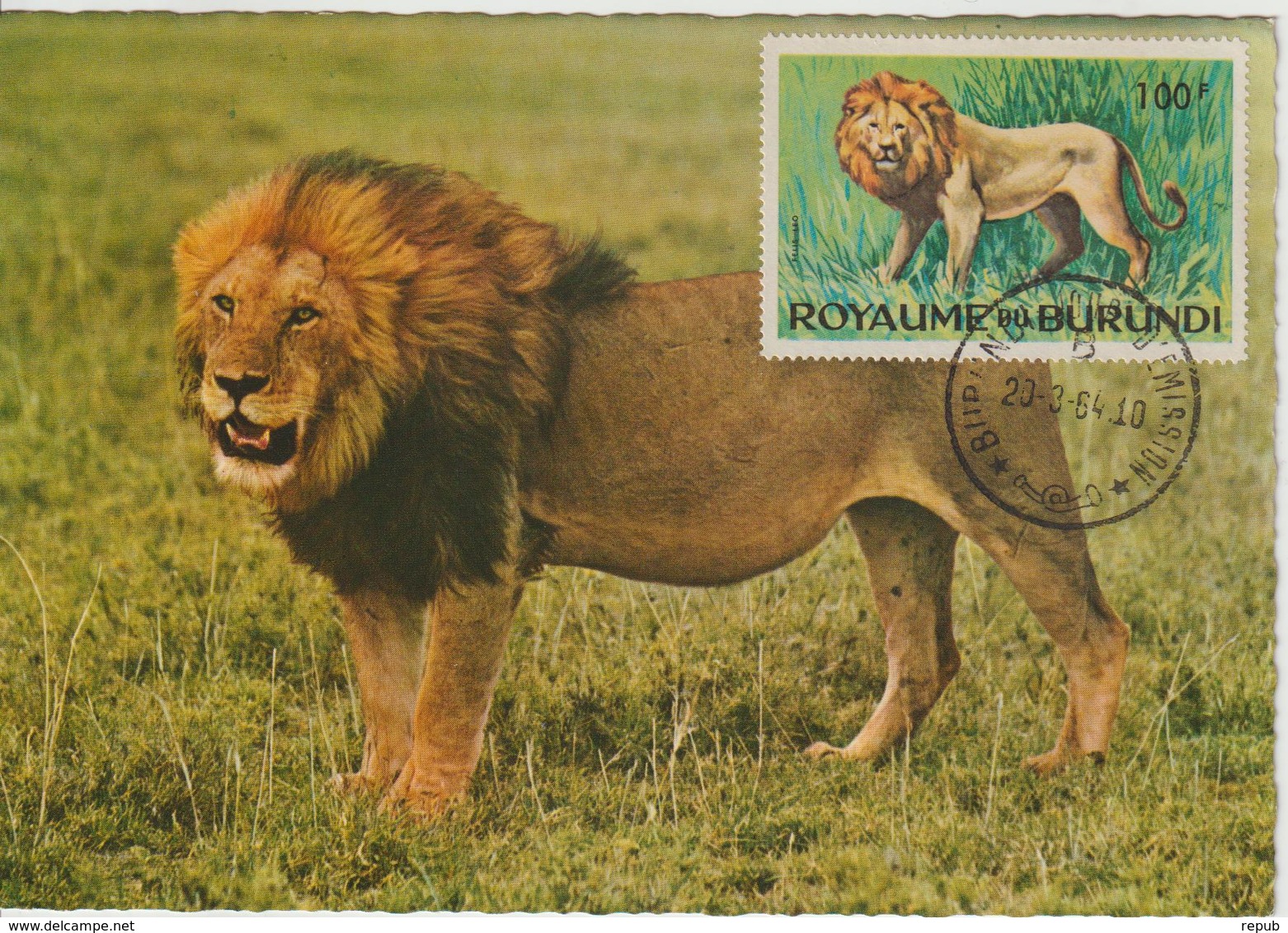 Burundi Carte Maximum Animaux 1964 Lion 94 - Sonstige & Ohne Zuordnung
