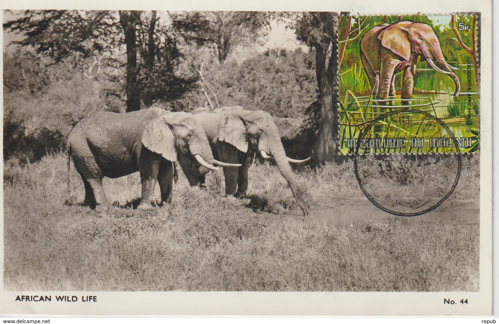 Burundi Carte Maximum Animaux 1971 Eléphant 447 - Autres & Non Classés