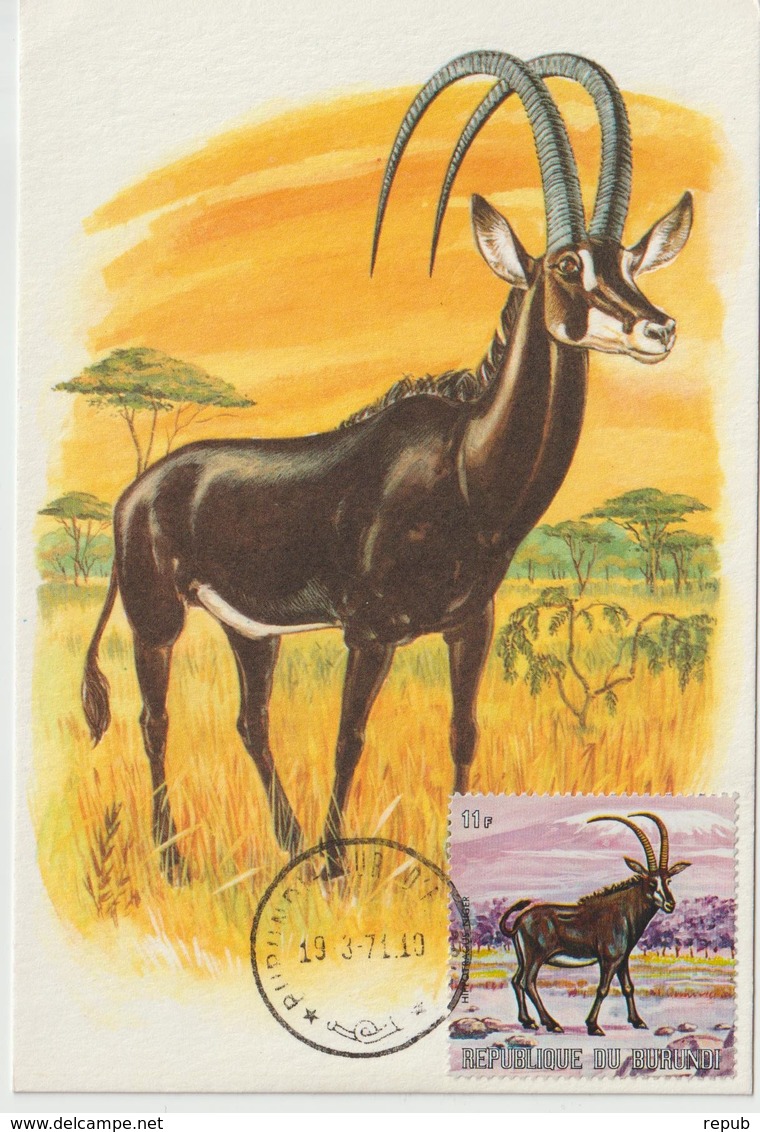 Burundi Carte Maximum Animaux 1971 Antilope 454 - Autres & Non Classés