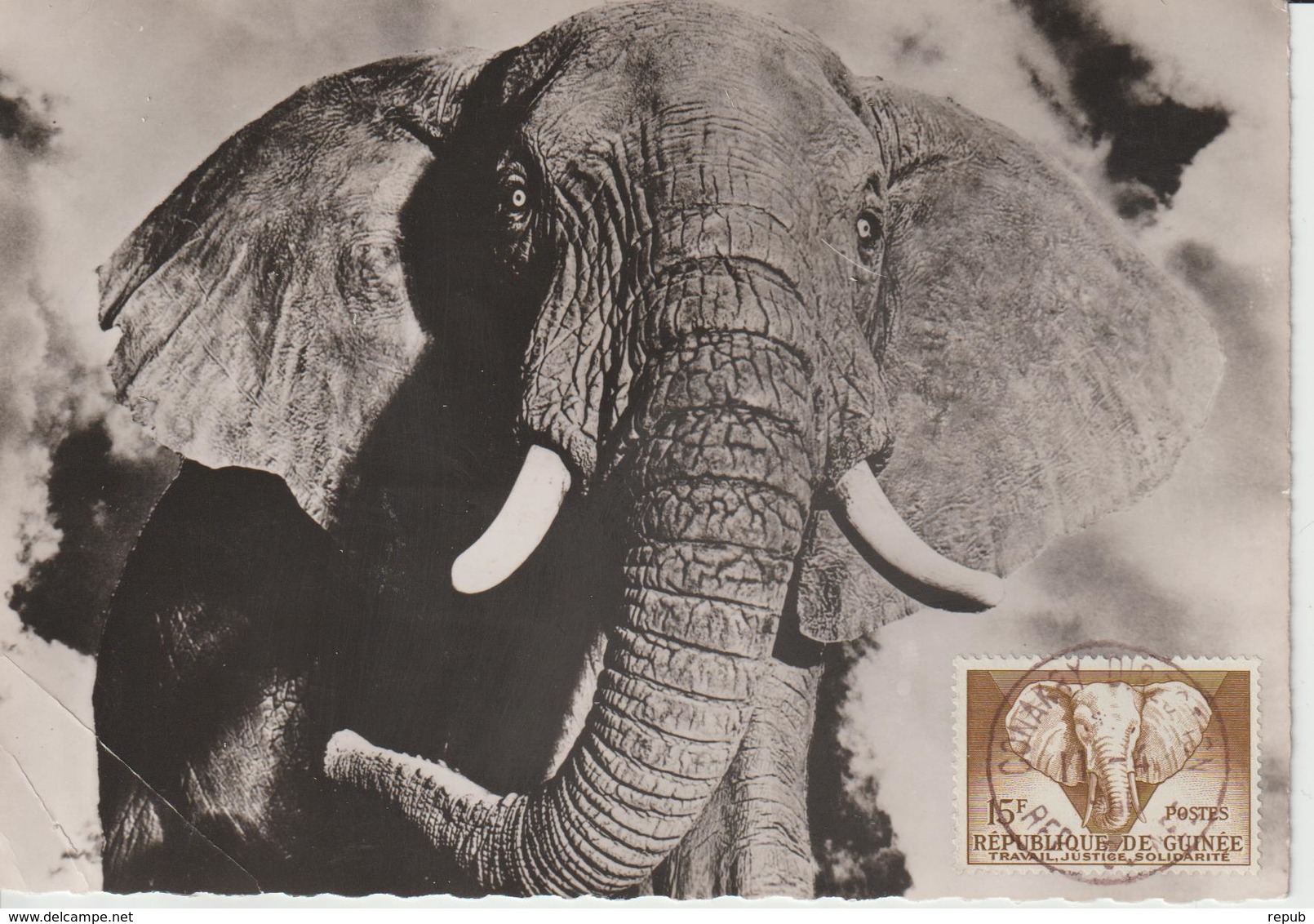 Guinée Carte Maximum Animaux 1959 Eléphant 13 - Guinée (1958-...)