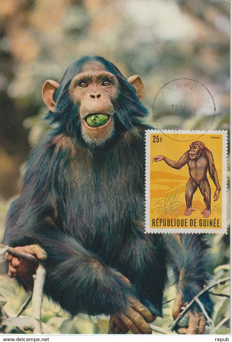 Guinée Carte Maximum Animaux 1969 Singe 382 - Guinée (1958-...)