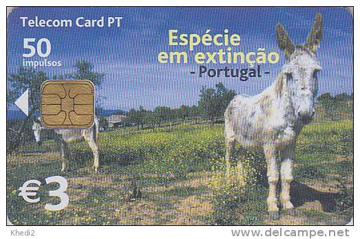 Télécarte à Puce PORTUGAL - Animal - ANE / 2 Scans - DONKEY Chip Phonecard - ESEL Telefonkarte - Autres & Non Classés