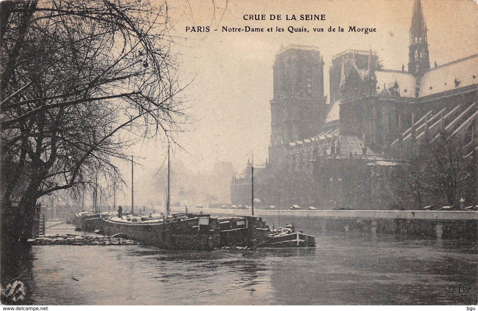 Paris (75) - Notre Dame De Paris - Crue De La Seine - Notre Dame Et Les Quais Vus De La Morgue - Notre Dame De Paris