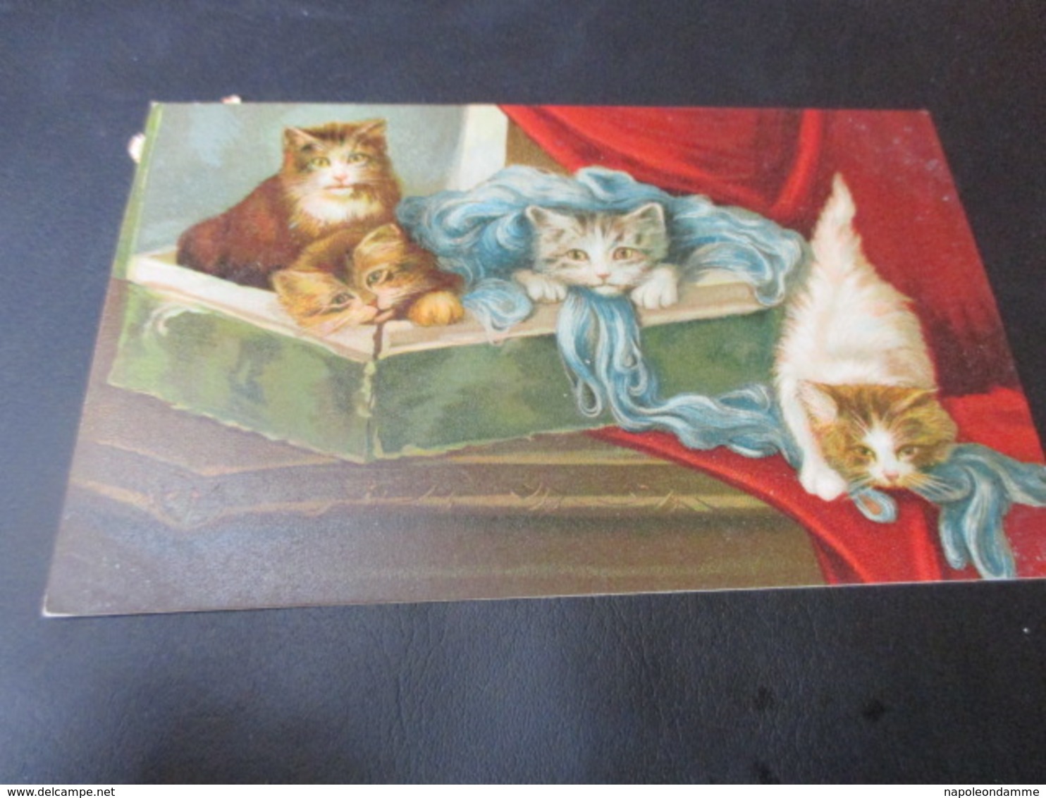 Fantasiekaart Katten - Chats