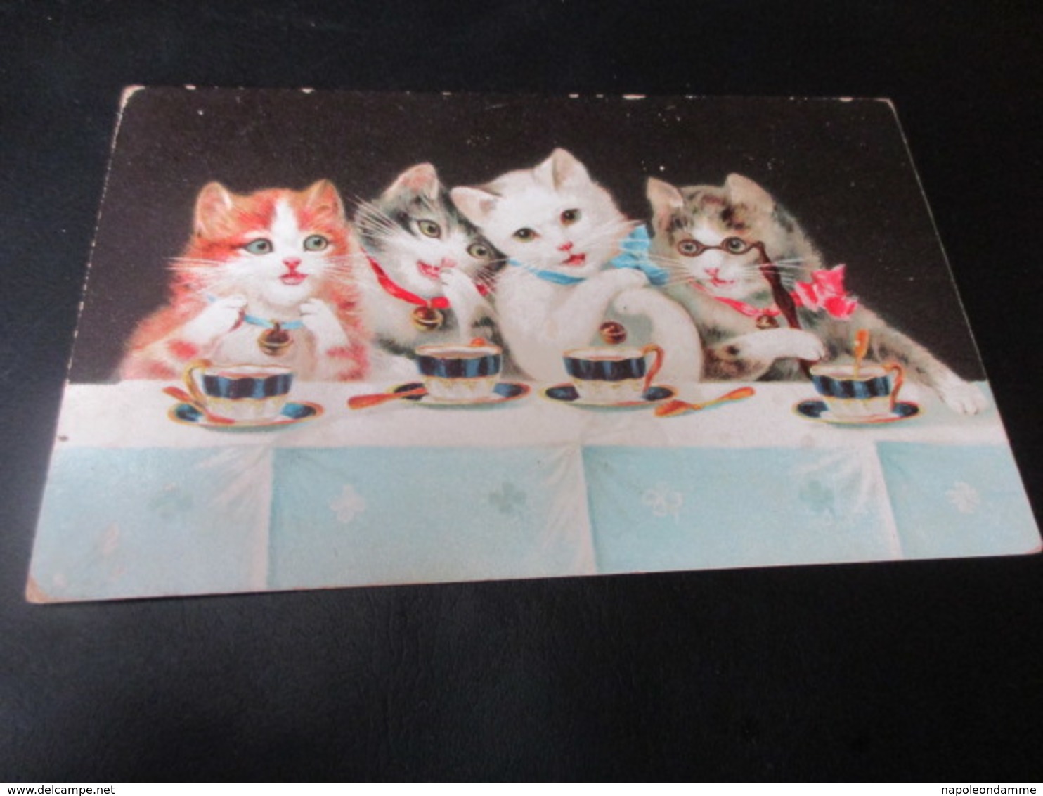 Fantasiekaart Katten - Chats