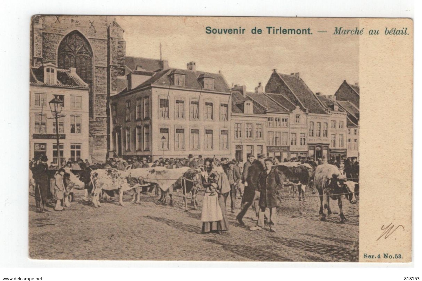Tienen  Souvenir De Tirlemont  -  Marché Au Bétail 1904 - Tienen