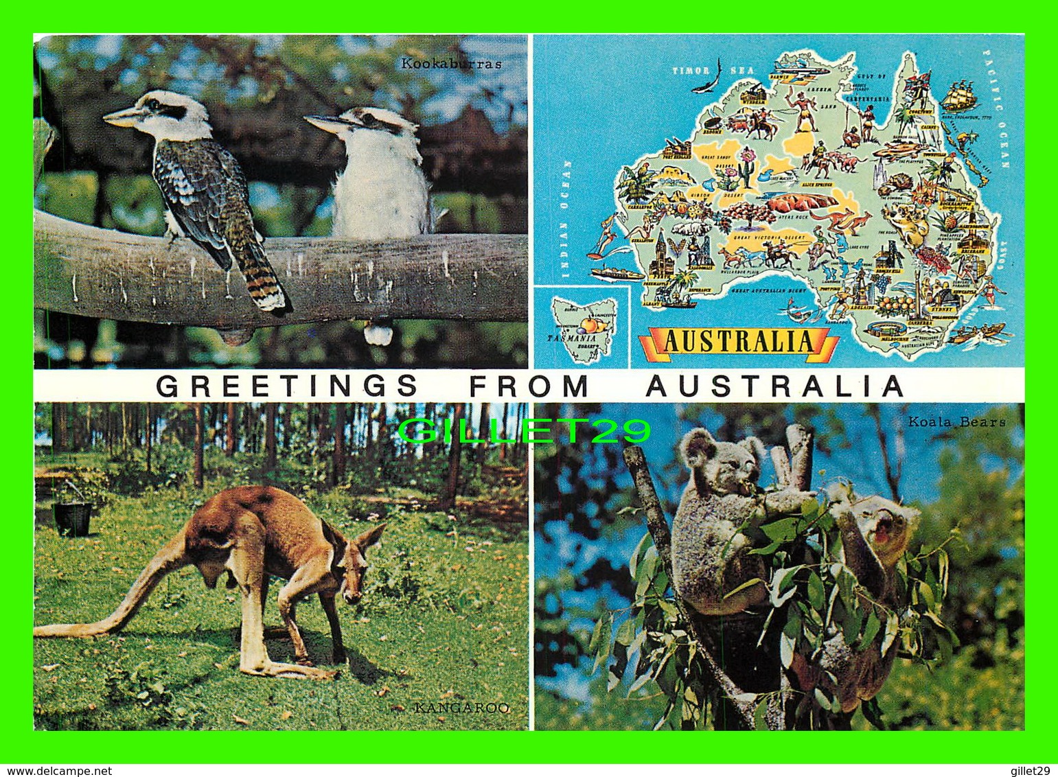 AUSTRALIE - CARTE GÉOGRAPHIQUE & ANIMAUX - 4 MULTIVUES - KRUGER - - Autres & Non Classés