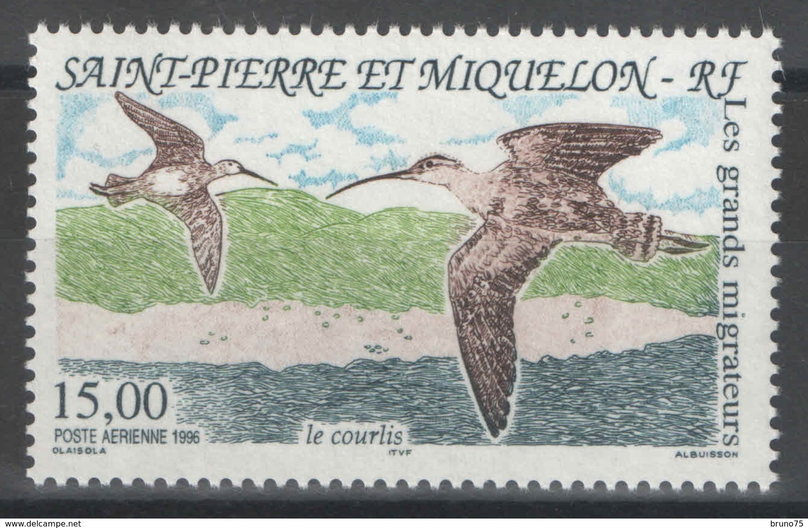 SPM - Saint-Pierre-et-Miquelon - YT PA 75 ** - 1996 - Oiseaux - Birds - Neufs