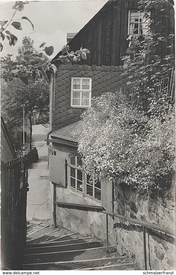 Foto Rohling Für AK Schwarzenberg Rösselberg Kirchsteig Hammerweg Rittmeistersteig Aue Lauter Neuwelt Breitenbrunn Vogel - Schwarzenberg (Erzgeb.)