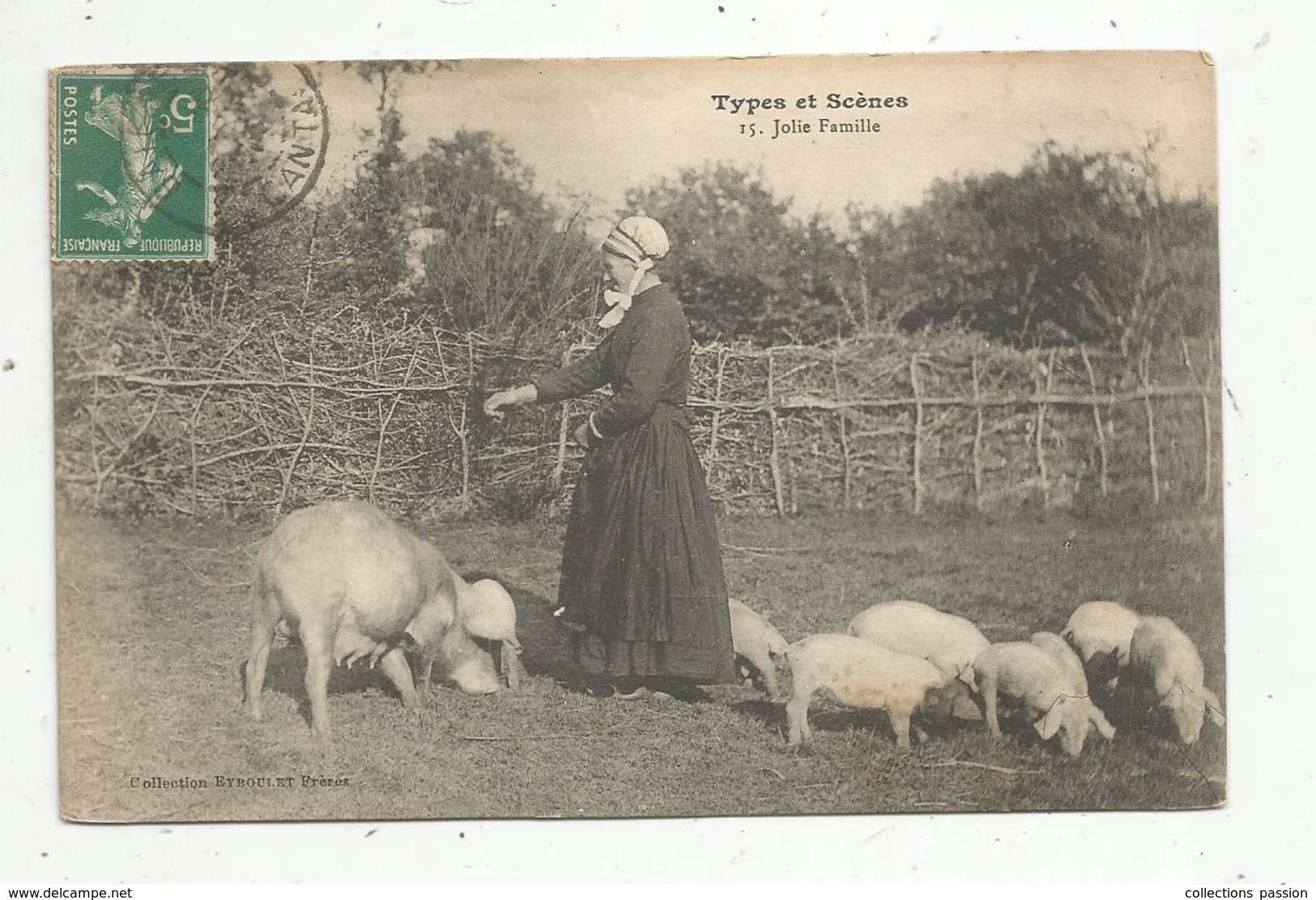 Cp, Agriculture ,élevage , Cochons, Types Et Scénes, Jolie Famille , Voyagée - Allevamenti