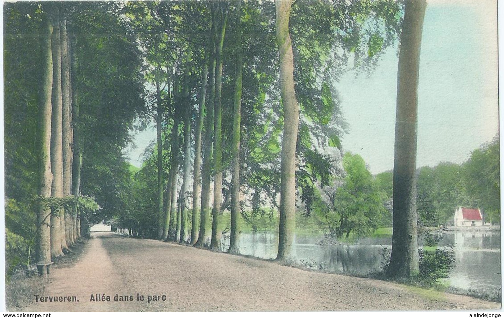 Tervuren - Tervueren - Allée Dans Le Parc - Edit. Decock - Tervuren