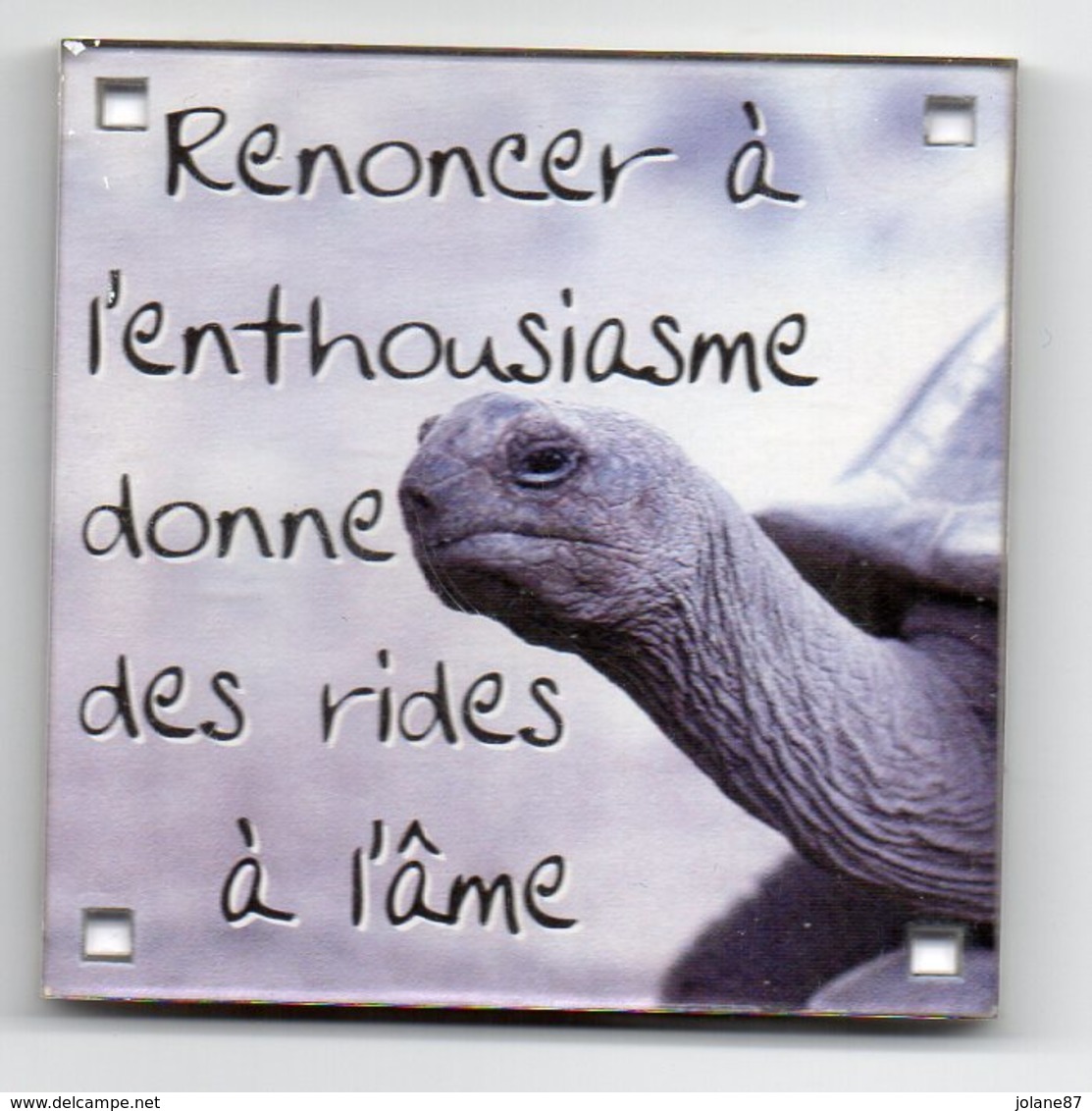 MAGNET PLASTIQUE     TORTUE    RENONCER A L ENTHOUSIASME DONNE DES RIDES - Humoristiques