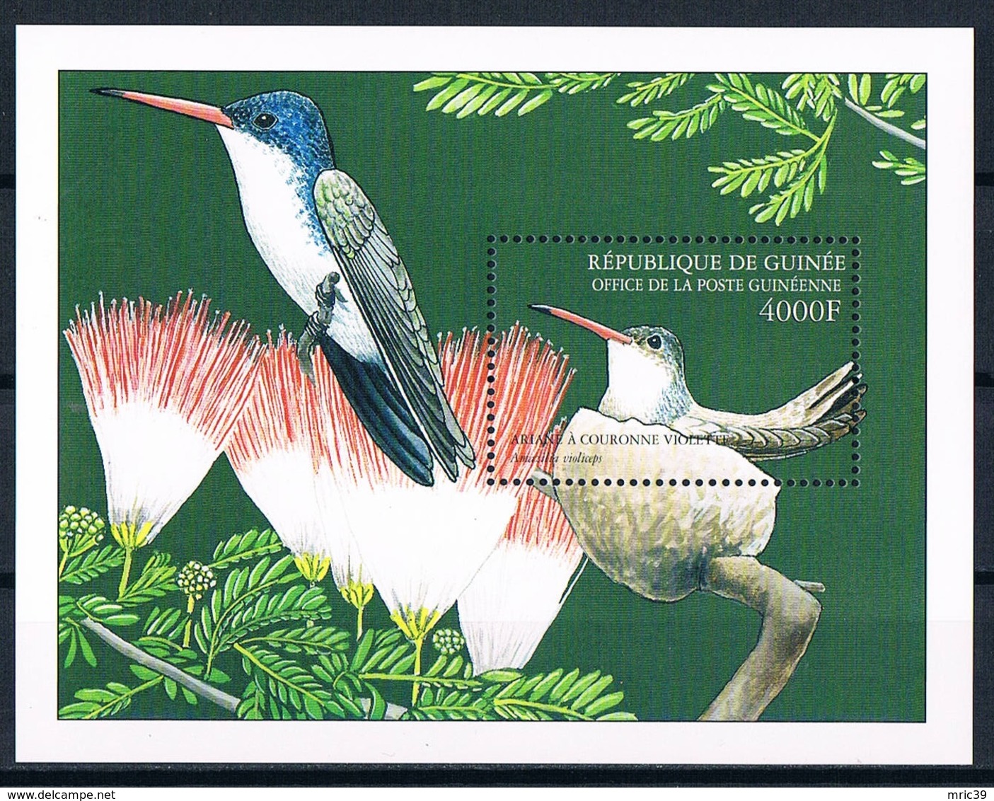 Bloc Sheet Oiseaux Colibris Birds Hummingbirds  Neuf MNH **  Guinee Guinea 2001 - Segler & Kolibris