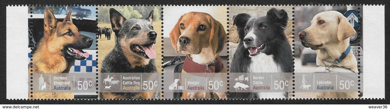 Australia SG3000-3004 2008 Working Dogs Set 5v Complete Unmounted Mint [2/1959/6D] - Nuovi