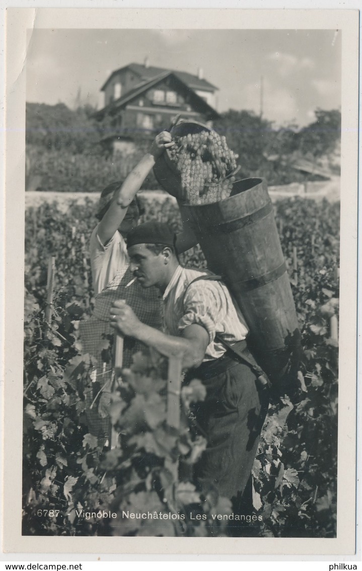 Vignoble Neuchâtelois Les Vendanges - éditeur Société Graphique Neuchâtel - Neuchâtel