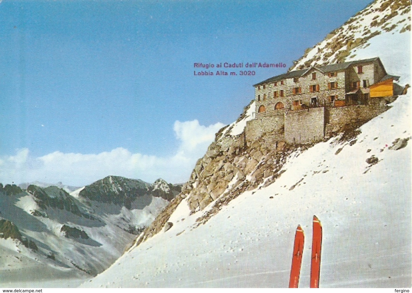 504/FG/19 - ALPINISMO - RIFUGIO "AI CADUTI DELL'ADAMELLO" (TRENTO) - Trento