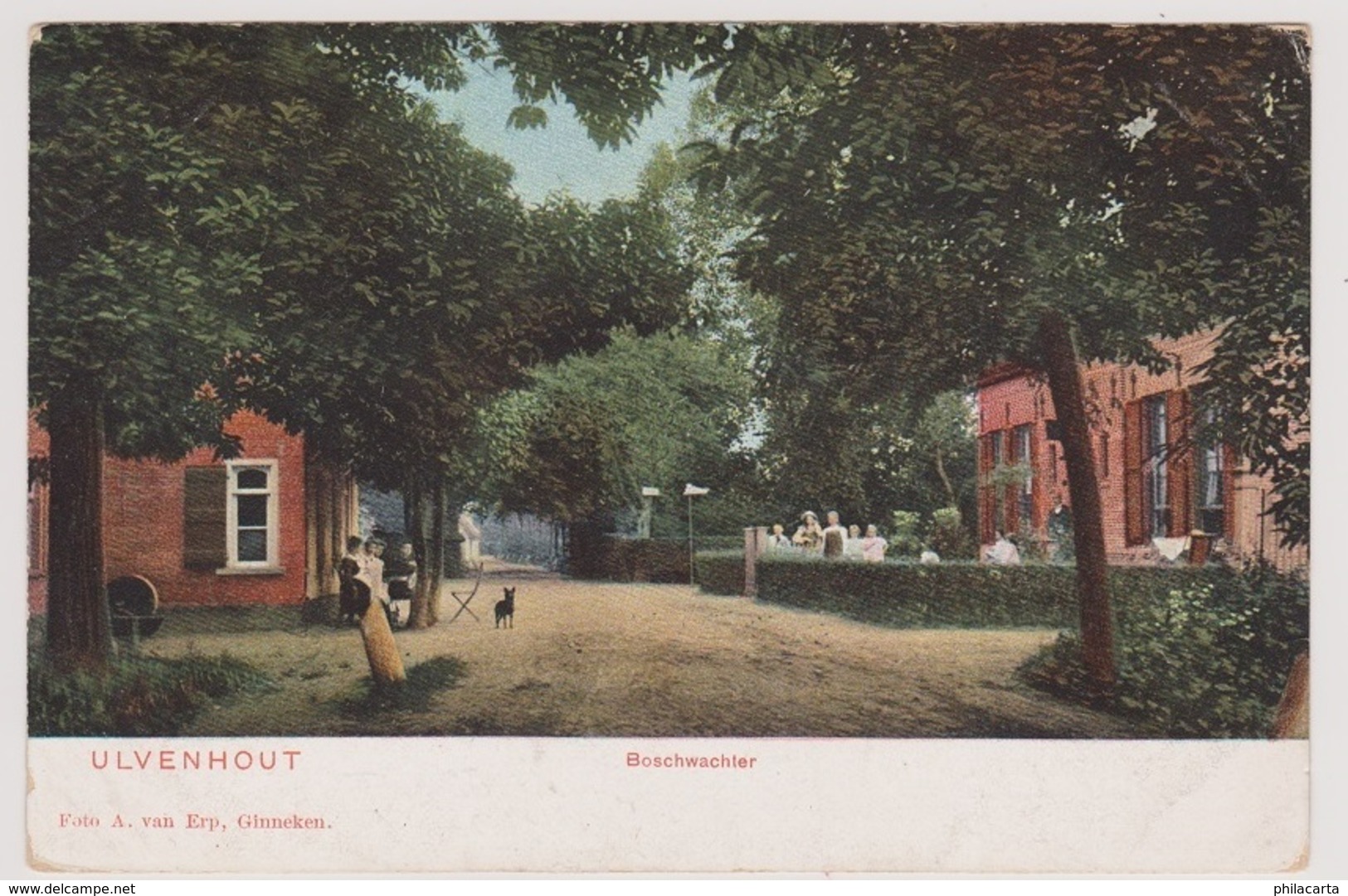 Ulvenhout - Boschwachter - 1904 - Andere & Zonder Classificatie