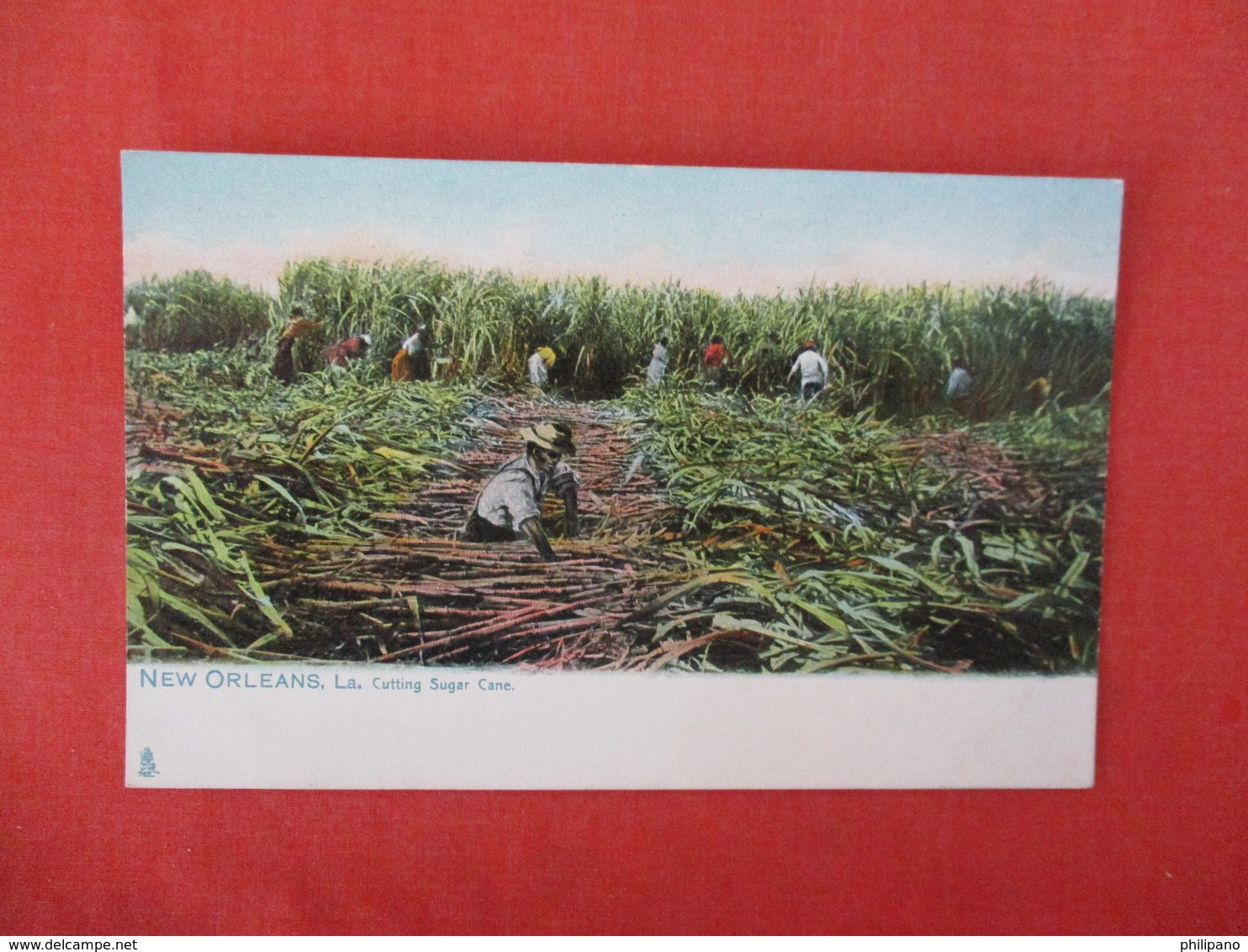 Tuck Series   Cutting Sugar Cane   Louisiana > New Orleans   Ref 3287 - New Orleans