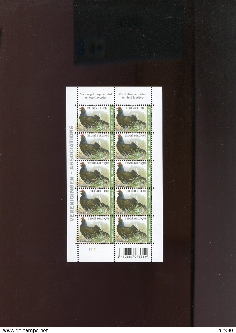 Belgie Buzin Vogels Birds 2013 4305 Associations Verenigingen Feuillet NUANCE VERT CLAIRE !!! RR Plaatnummer 1 - 1985-.. Birds (Buzin)