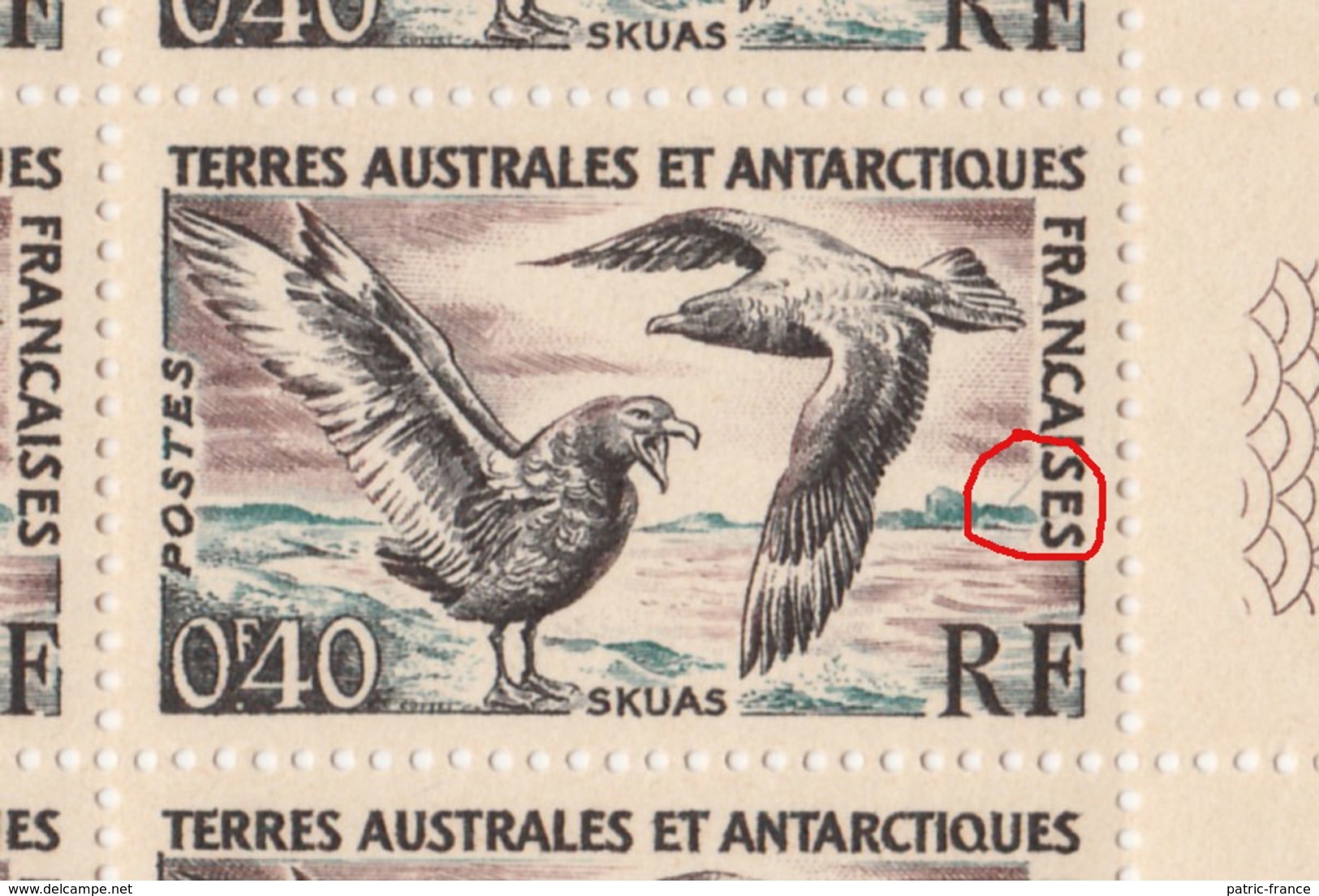 TAAF 1959 0.40 Skuas Yv13 Feuille Complète Comprenant 1 Variété - Imperforates, Proofs & Errors